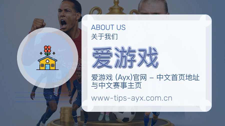 爱游戏关于平台与用户服务展示